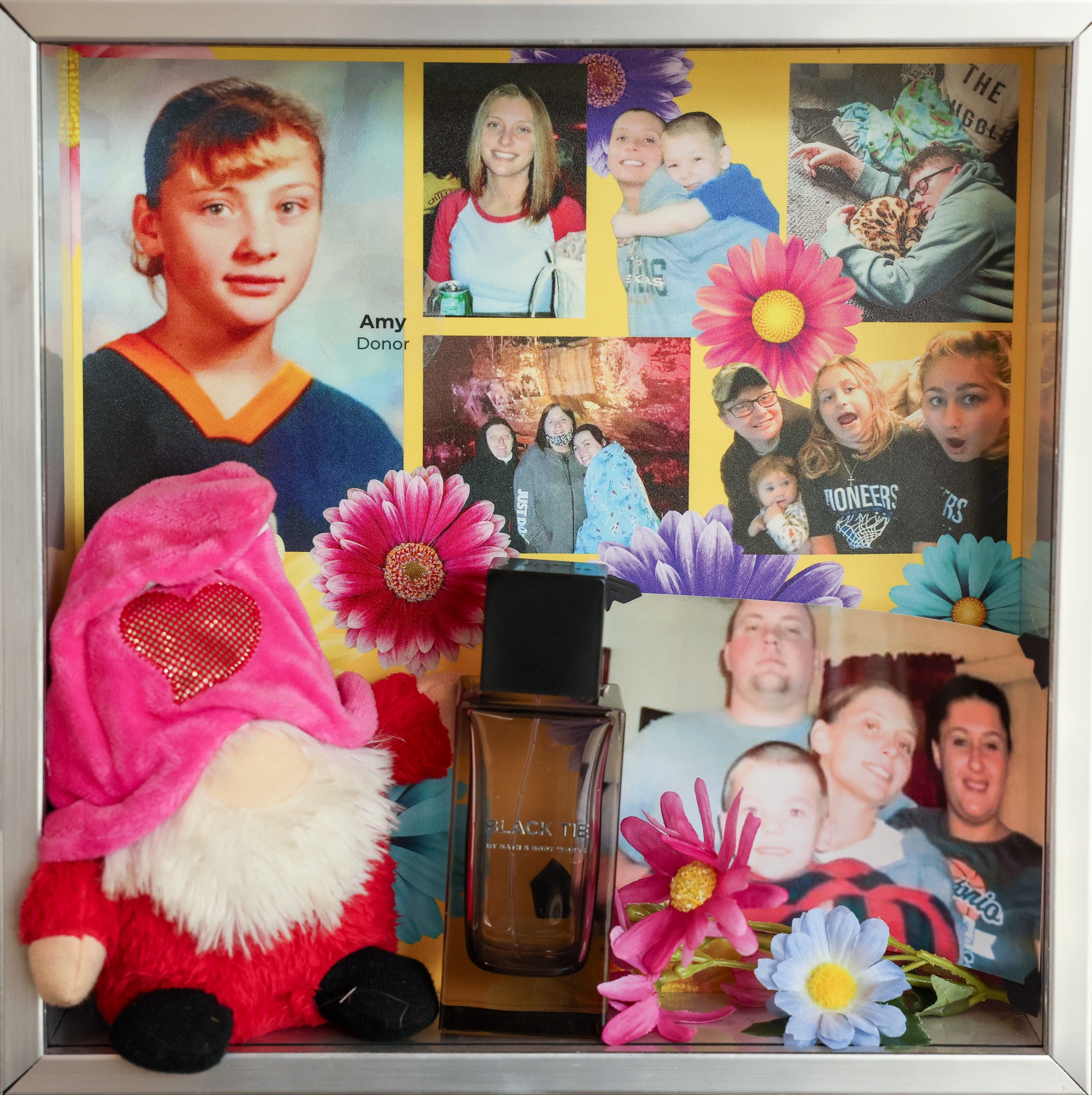 Amy smith lifeline of ohio